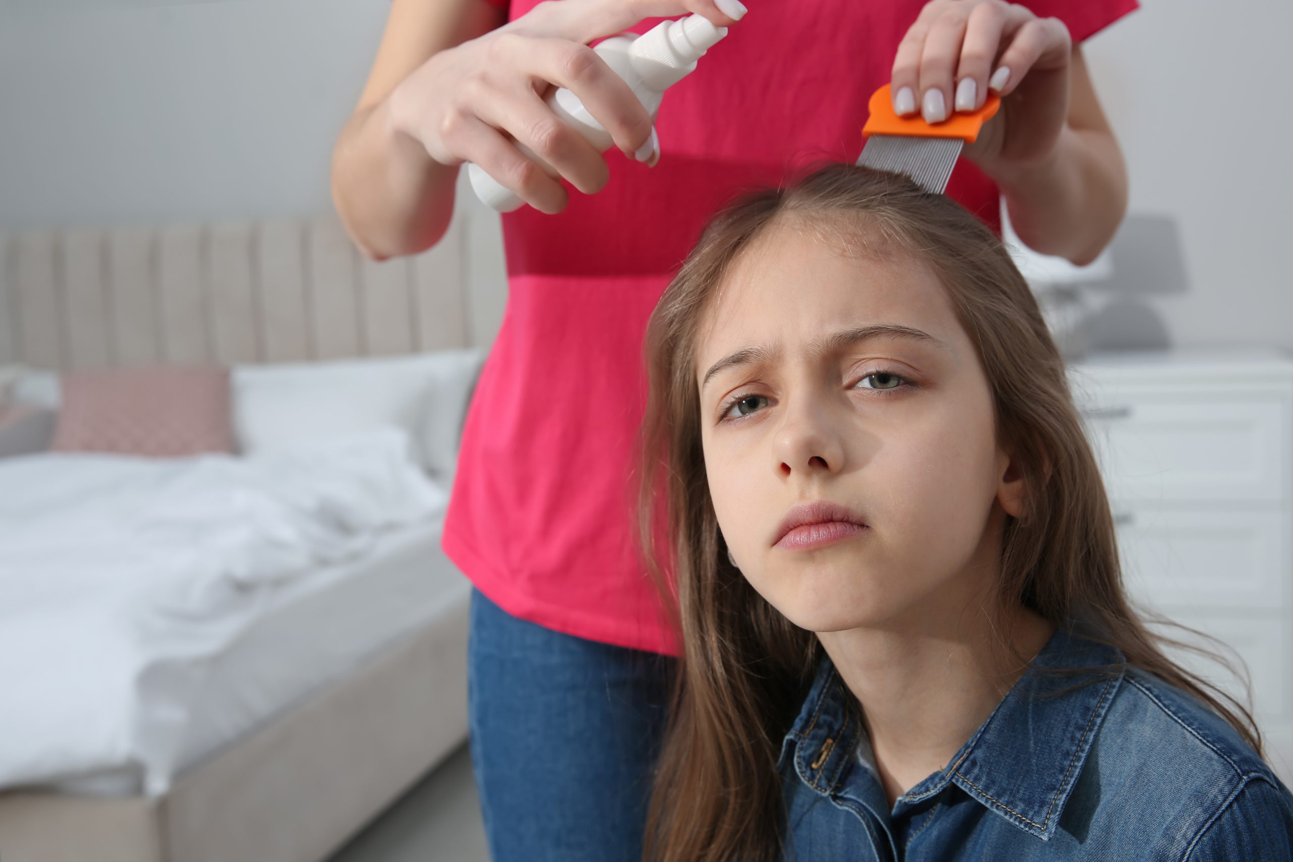 Broward County mother working an over-the-counter lice treatment through her daughter's hair with a fine-toothed nit comb at the bathroom counter, the moment most parents reach when one round of drugstore lice shampoo did not finish the case