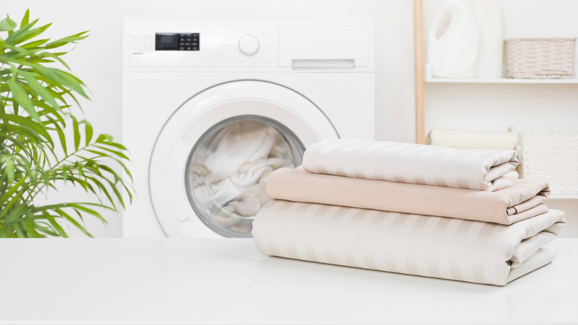 Do You Really Need to Wash Bedding After Lice?