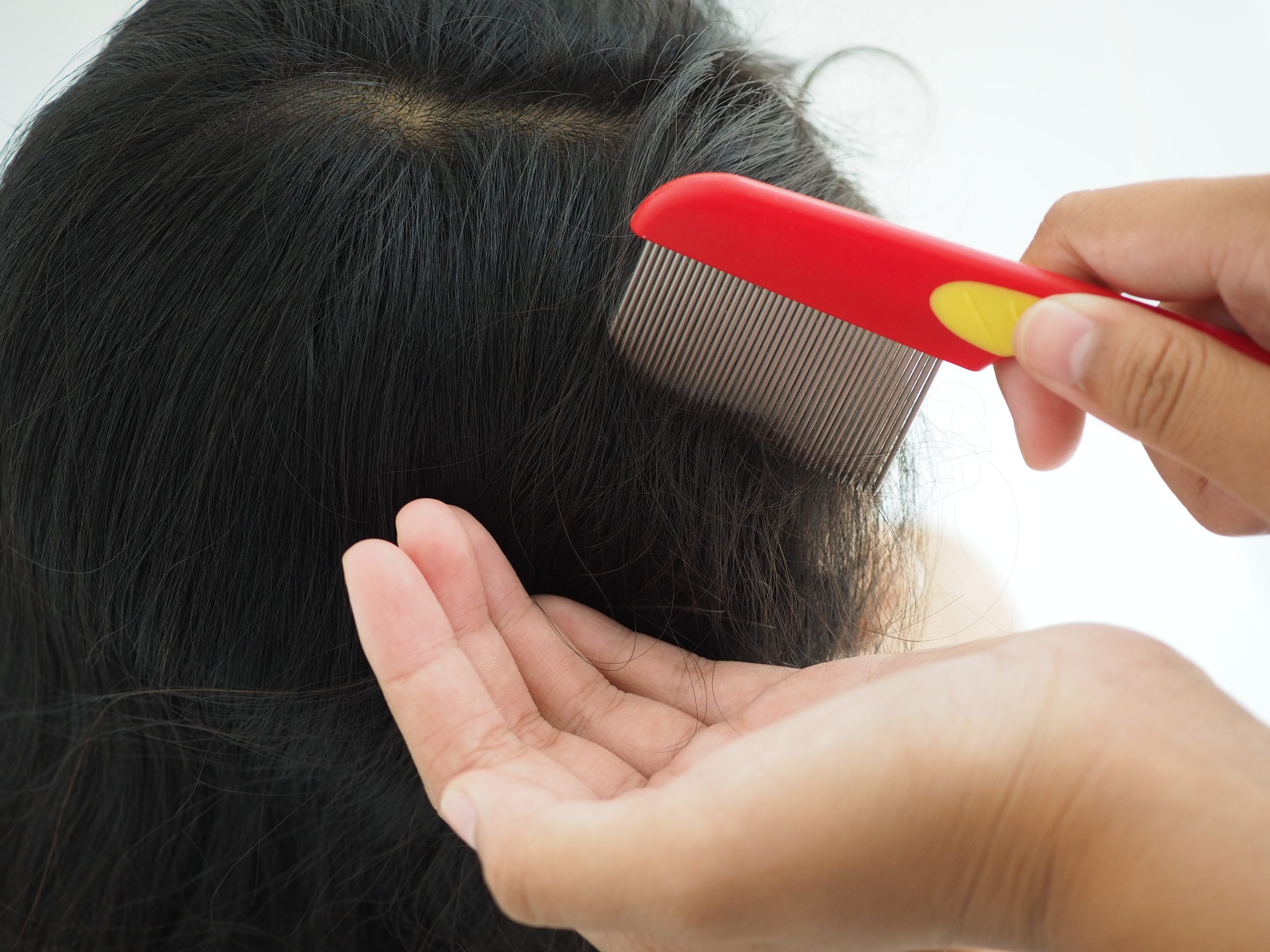 A parent parts and combs a school-aged child's hair with a fine-tooth lice comb under bright light, a Broward County family doing a routine weekly head check before the new school year