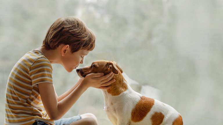 The Family Dog Can’t Catch Your Child’s Head Lice