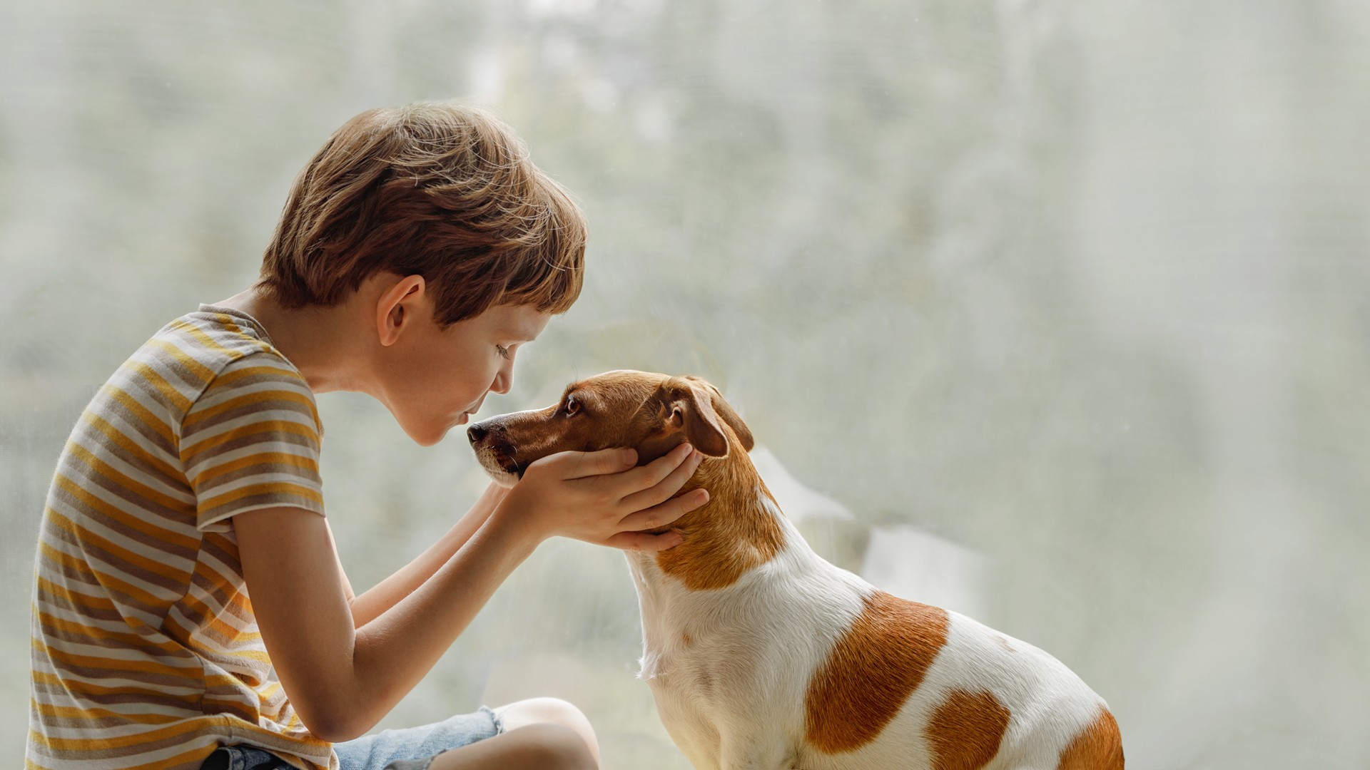 A young child gently touches noses with the family dog by a sunny window, a reassuring Broward County home scene for a post explaining that pets cannot catch or spread head lice