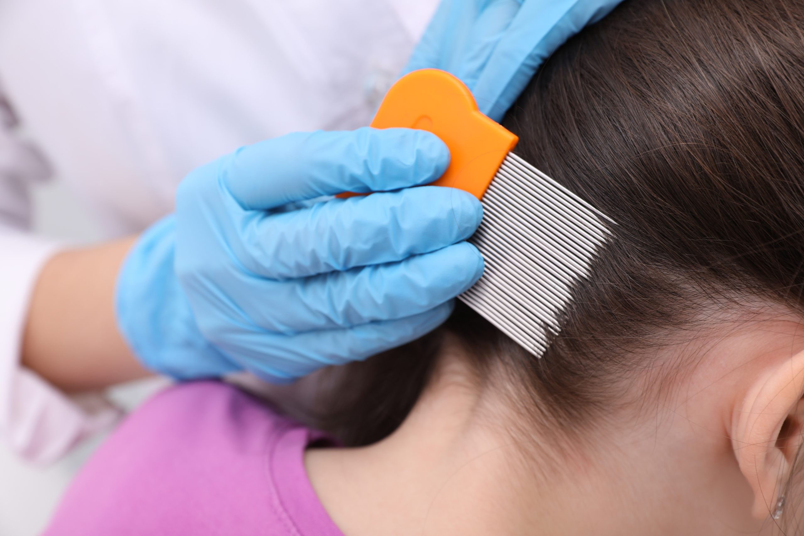 Doctor using nit comb on little girl's hair indoors. Anti lice treatment