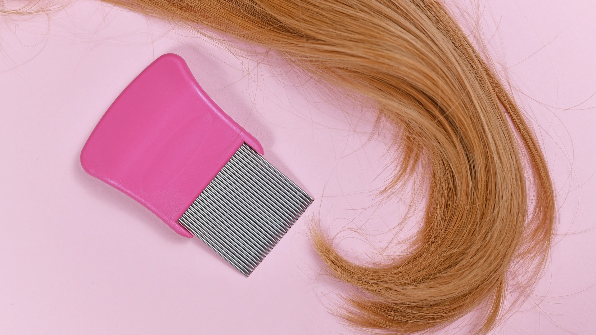The Nine-Day Window That Decides If Lice Come Back