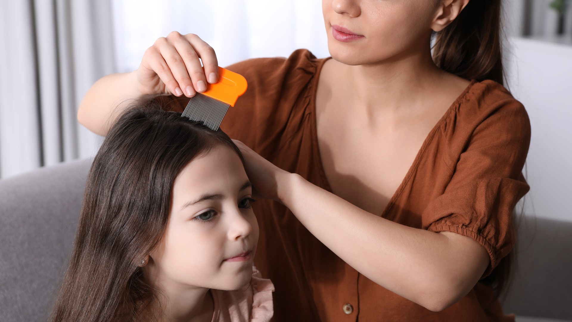 Upgraded: Most Effective Lice Treatment Options Compared