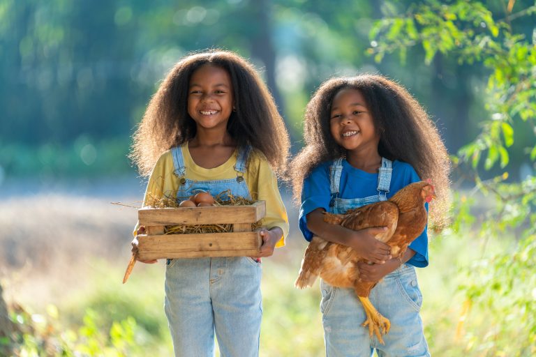Chickens Carry Lice. They Just Cannot Live on Your Child.